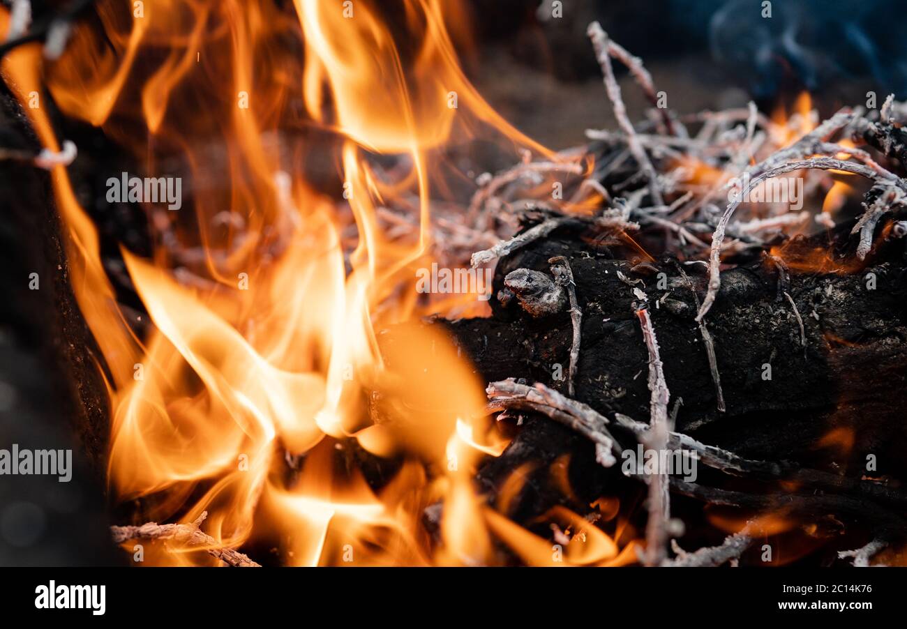 Extreme close up view to wood burning with flames. Orange flame of fire