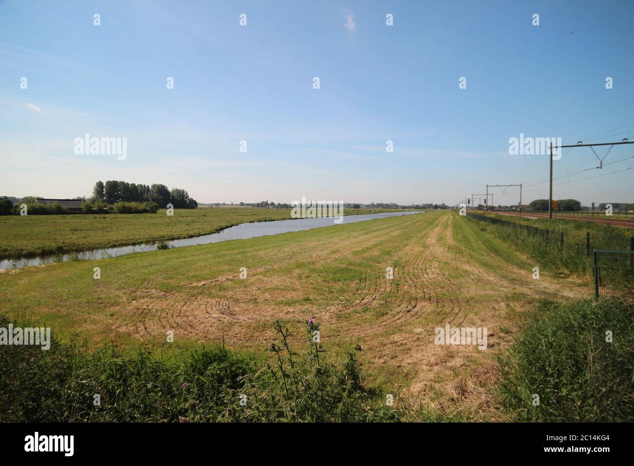 Meadows, ditches and weed flowers of the lowest polder of Europe named Zuidplaspolder in the Netherlands Stock Photo