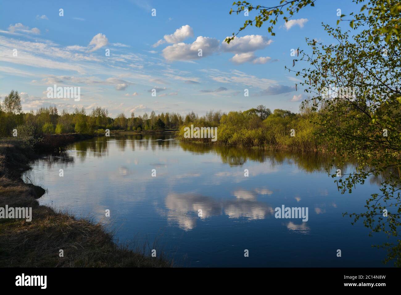 Spring in the Meshchersky national Park in the Ryazan region. Water may ...