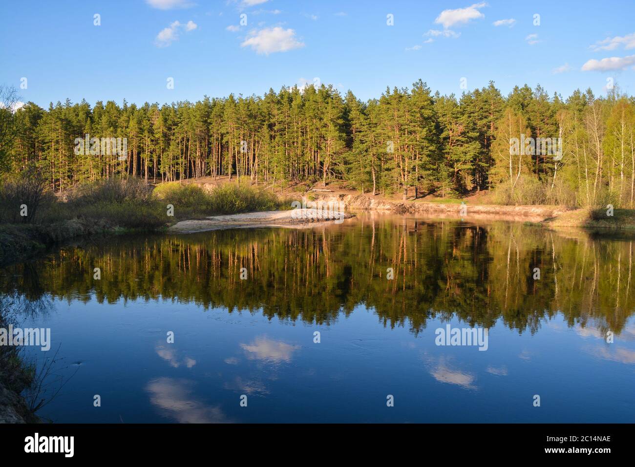 Spring in the Meshchersky national Park in the Ryazan region. Water may ...