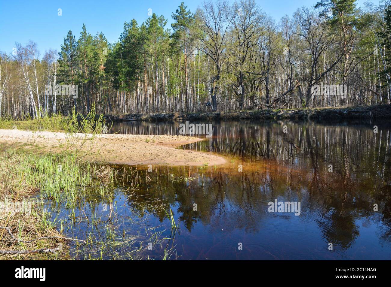 Meshchersky park hi-res stock photography and images - Alamy