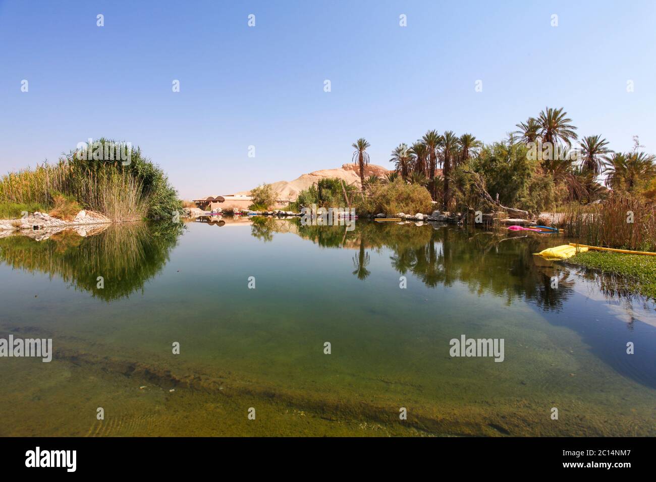 Water pool in a desert Oasis. Photographed in the Negev Desert, Israel Stock Photo
