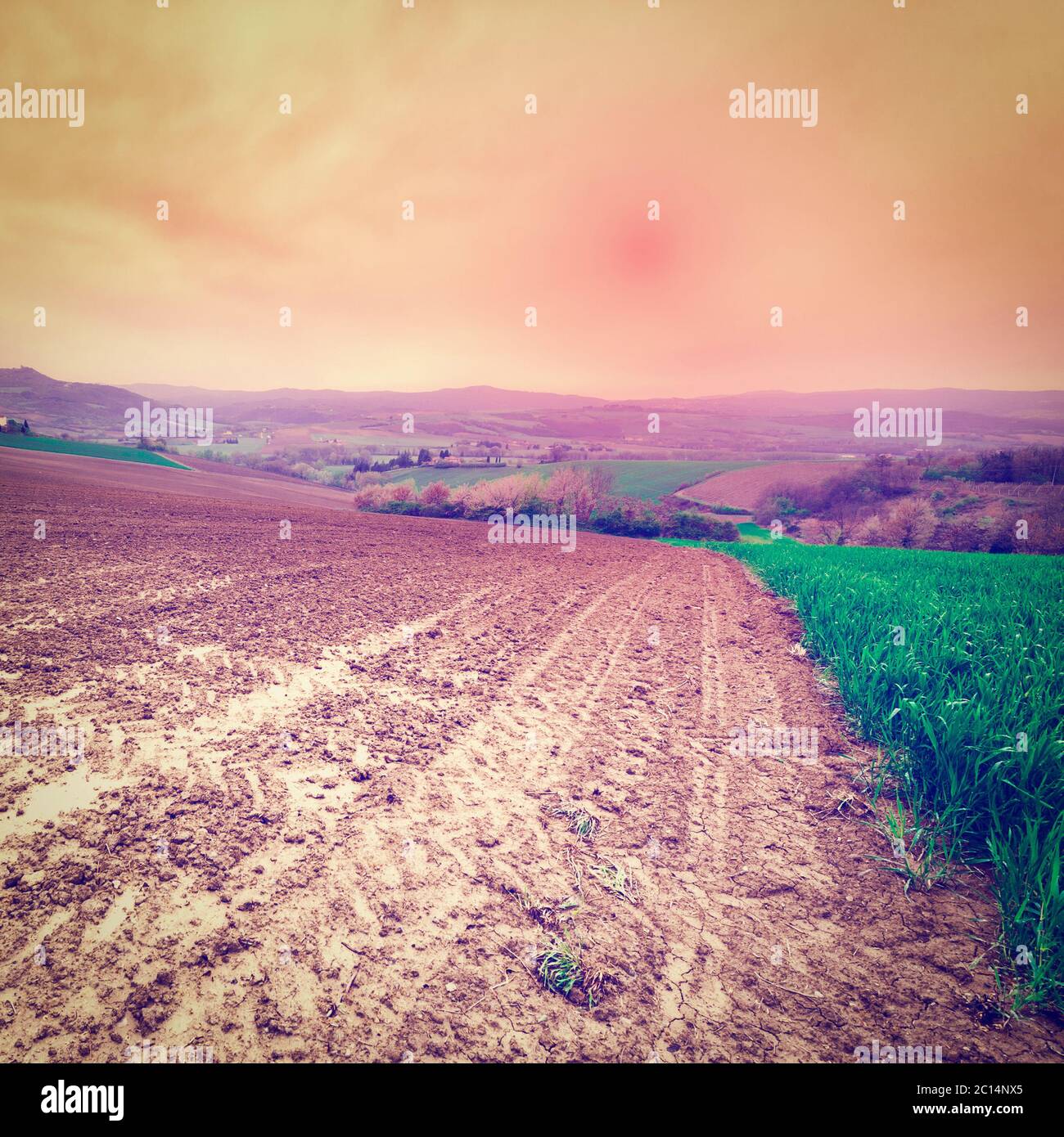 Cultivated landscap hi-res stock photography and images - Alamy