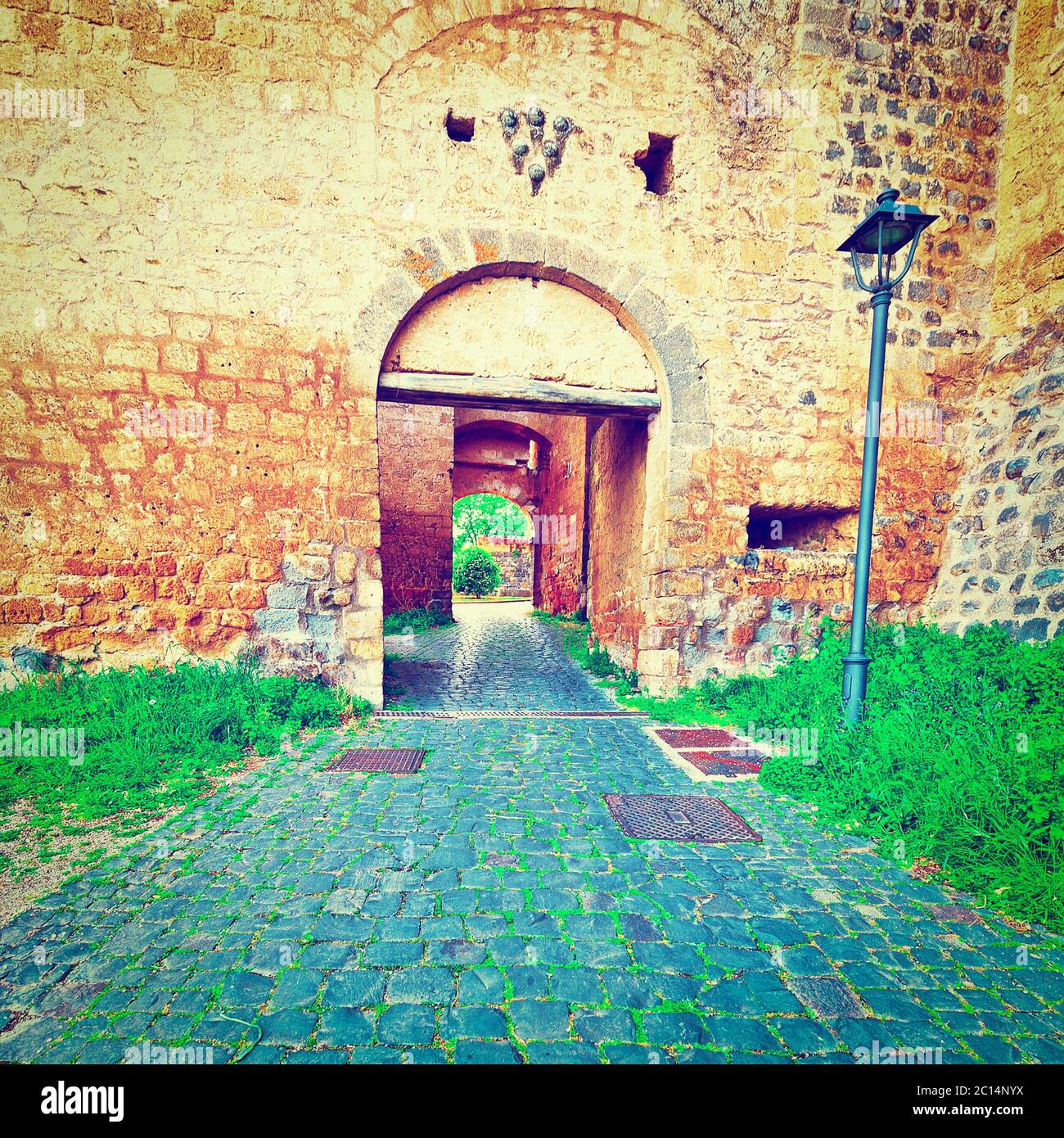 My Image 4