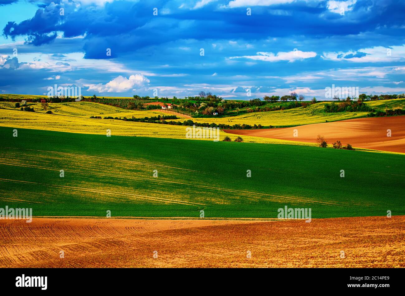 Rural landscape with fields, waves and blue sky with clouds, spring ...