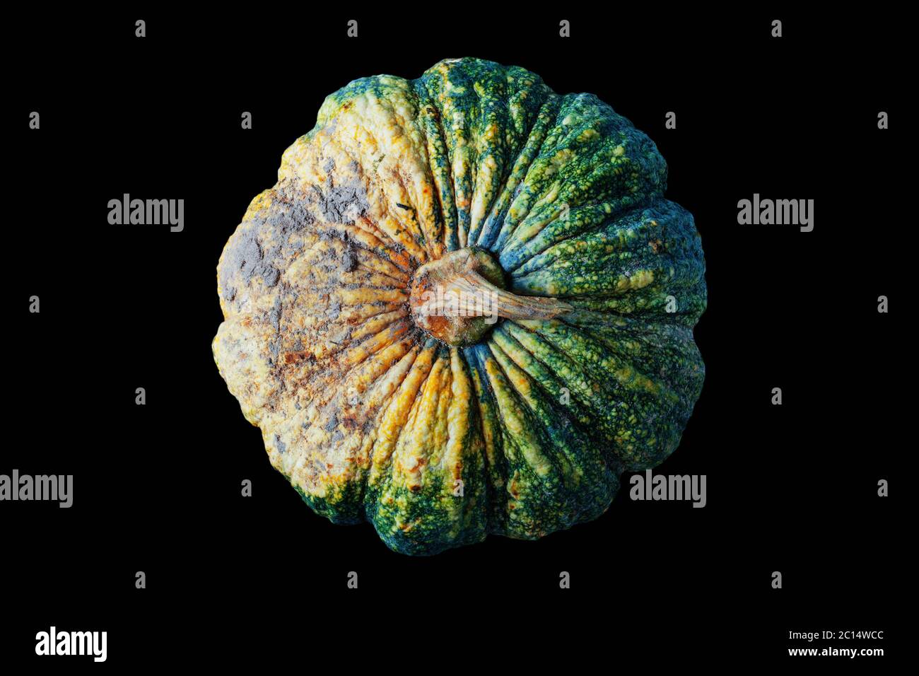 pumpkin on black background Stock Photo - Alamy