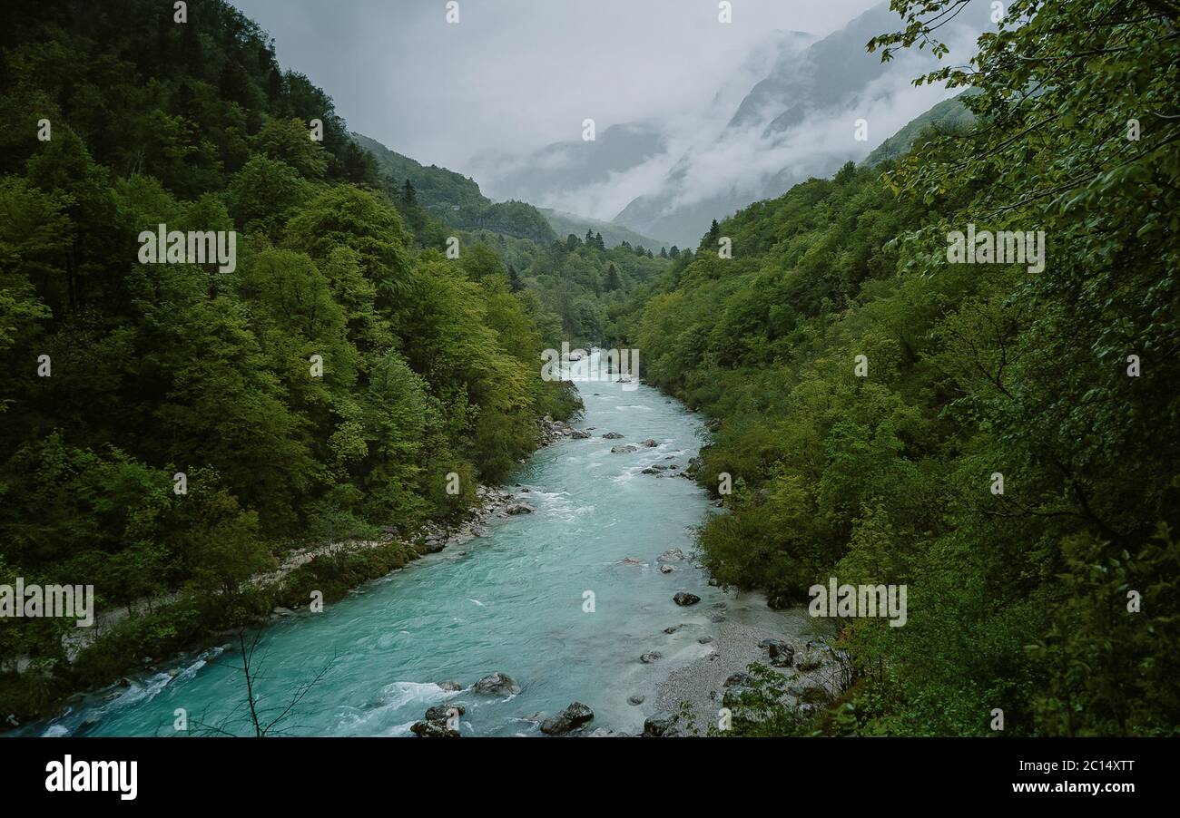 Emerald green waters of the alpine river Soca in Slovenia. Deep forest ...
