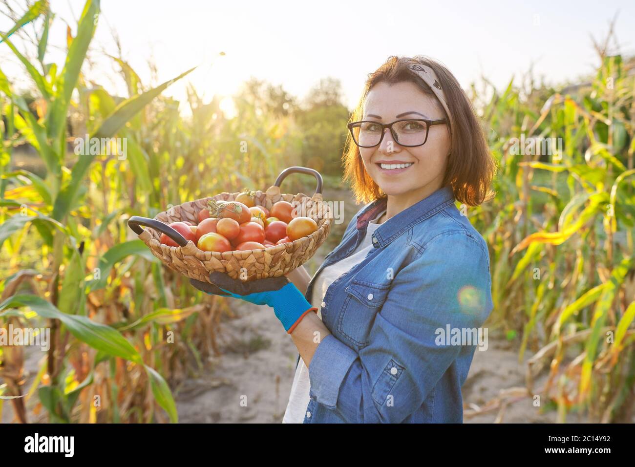 Woman farmer with basket of ripe red natural tomatoes in his vegetable ...