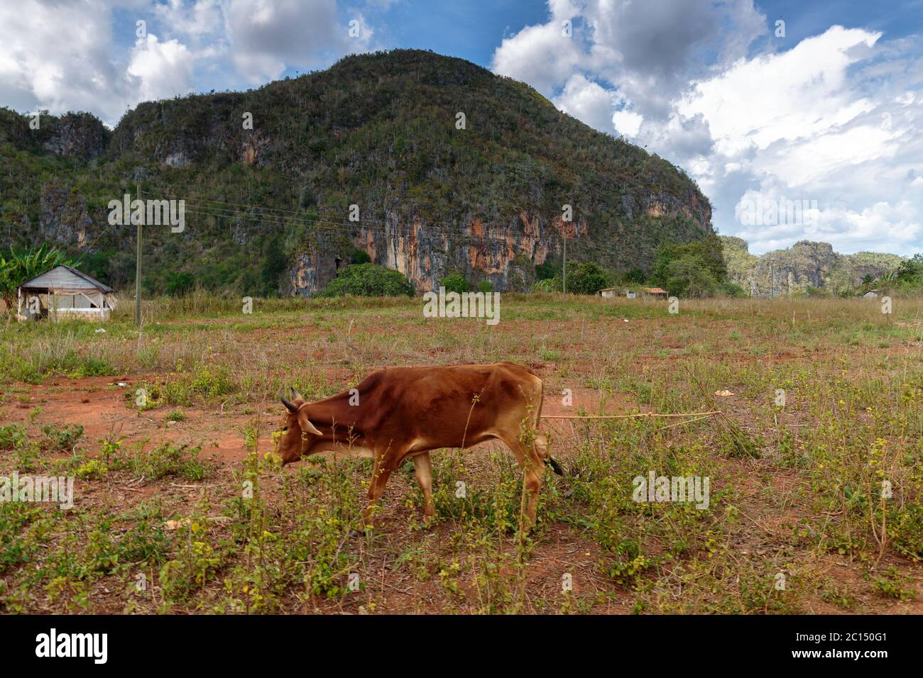 Vinales valley Stock Photo