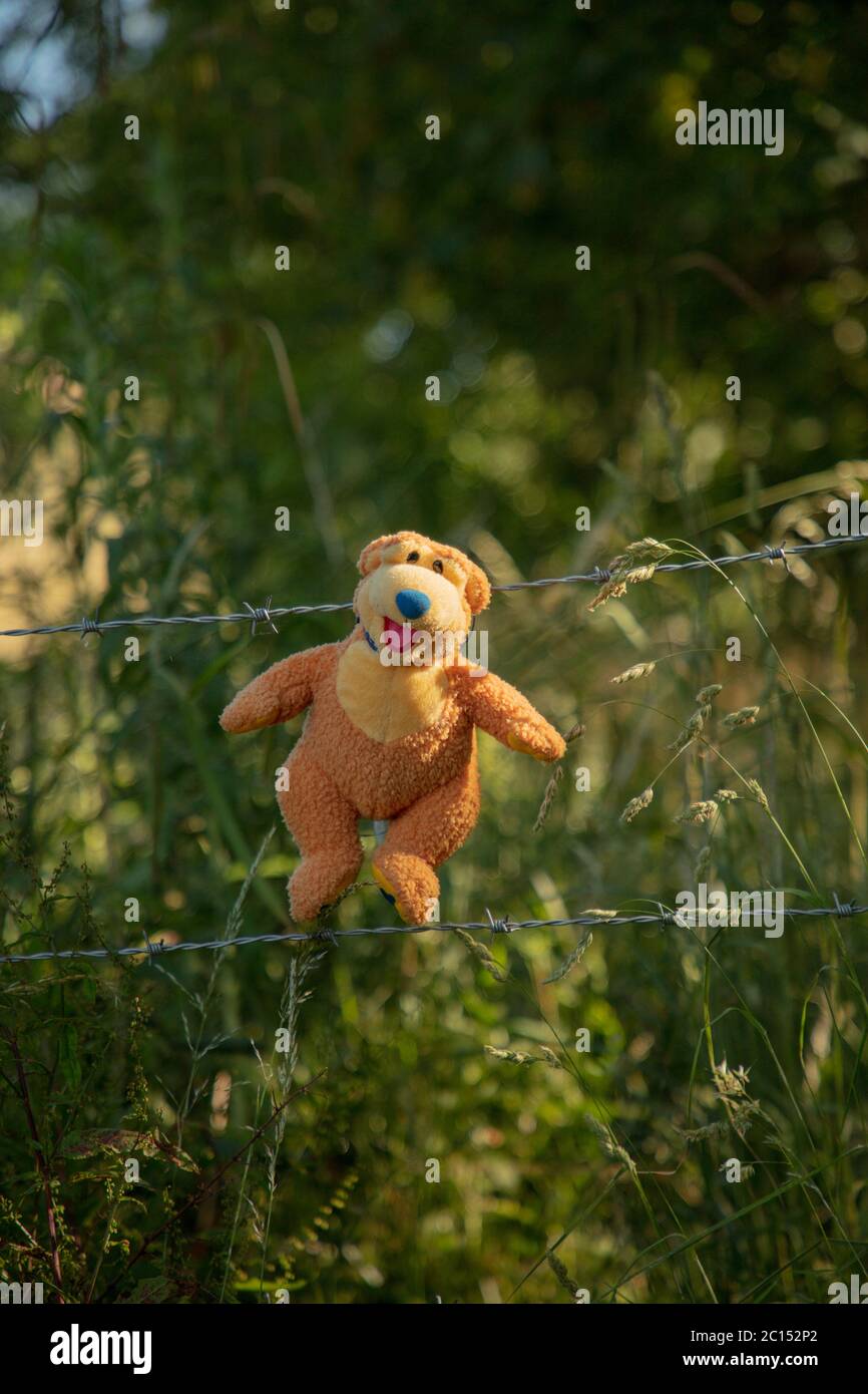 London, UK. 14th June 2020. Children have decorated a footpath between two fields in north west London, with teddy bears and furry friends, keeping them busy during their time of school and making them cope better with the ongoing coronavirus situation. Credit: Joe Kuis / Alamy News Stock Photo