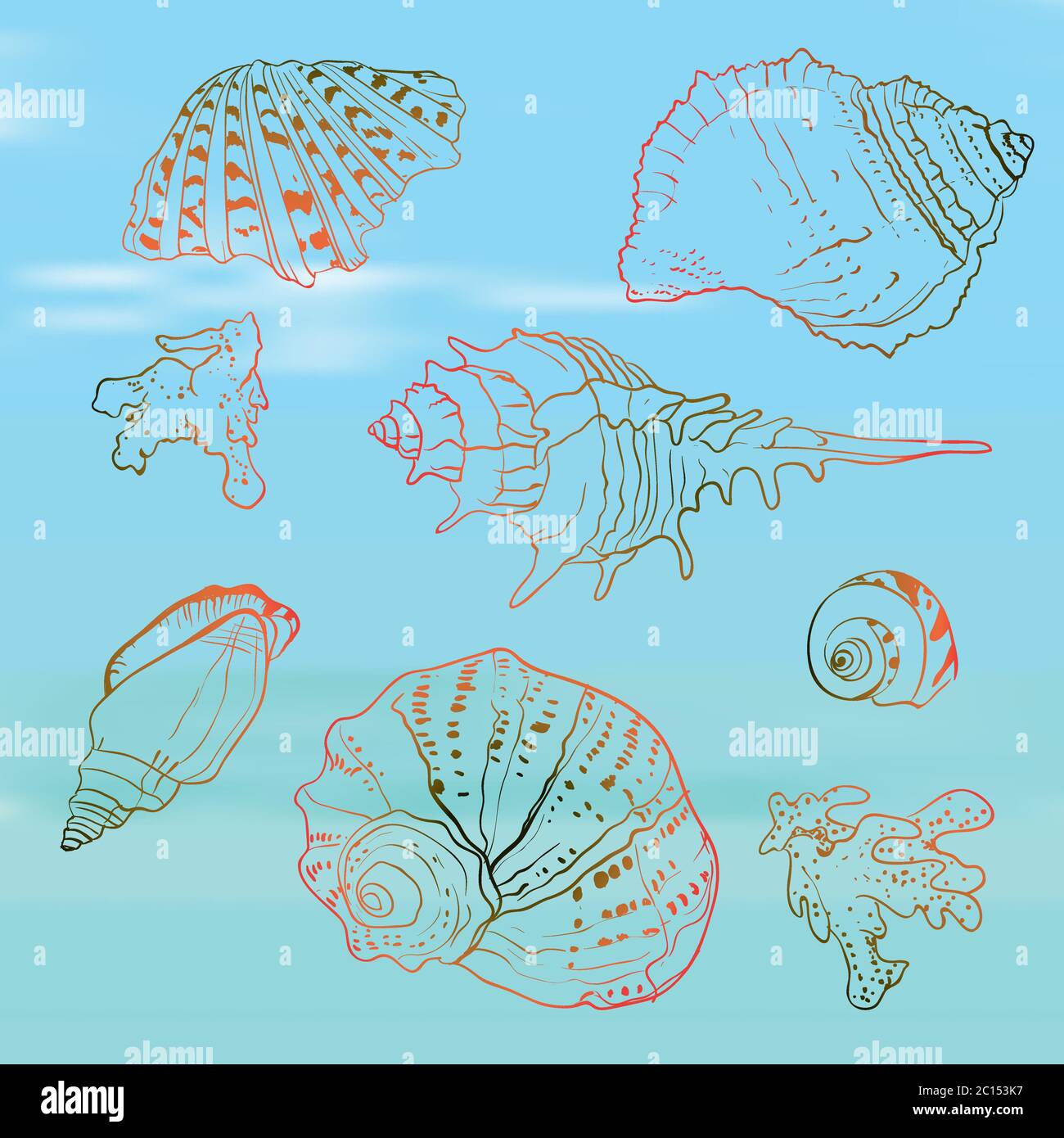 Seashells set on the blurred background, vector illustration Stock Vector