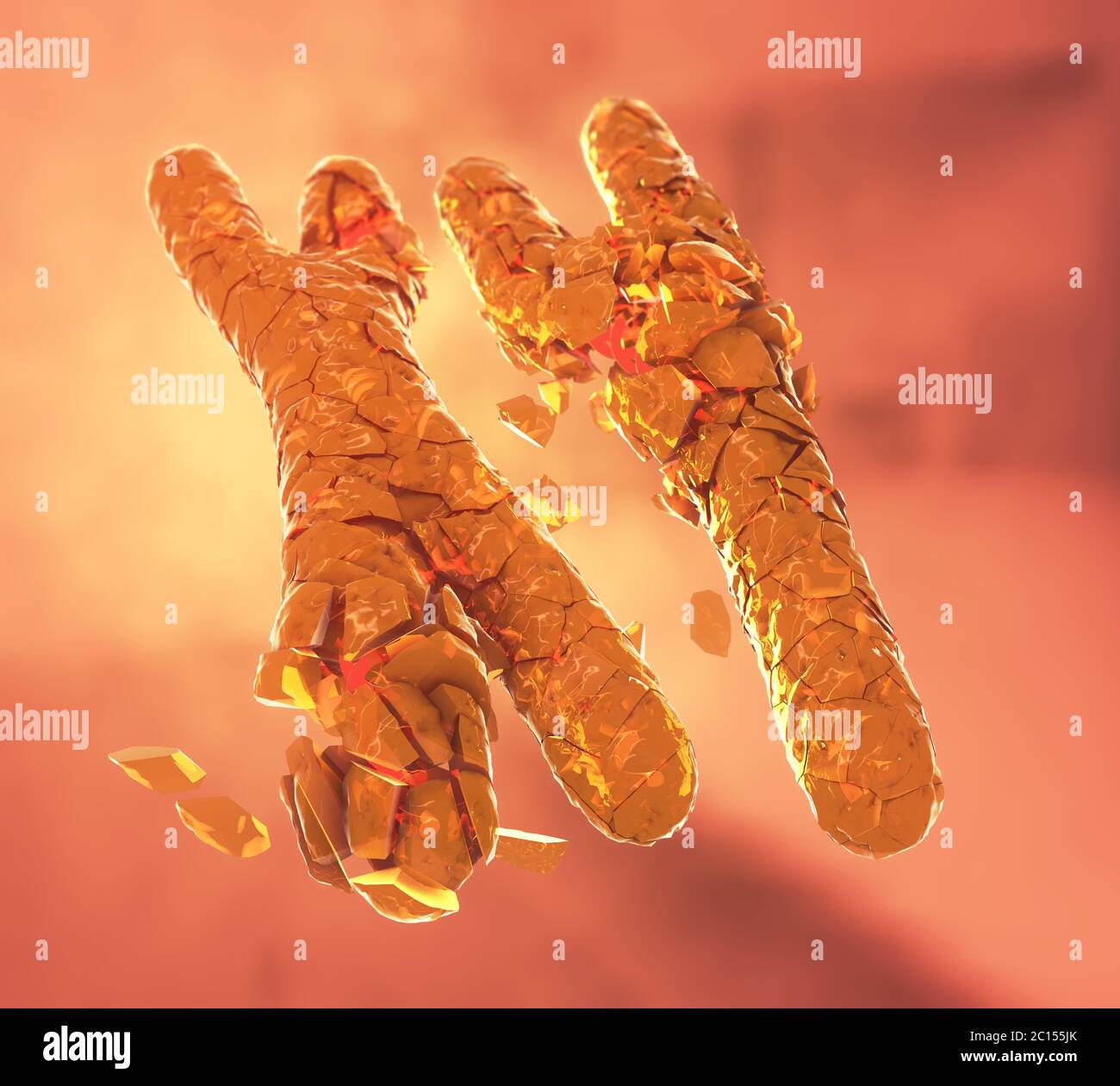 3D Illustration of broken or defected orange colored x and y chromosomes Stock Photo