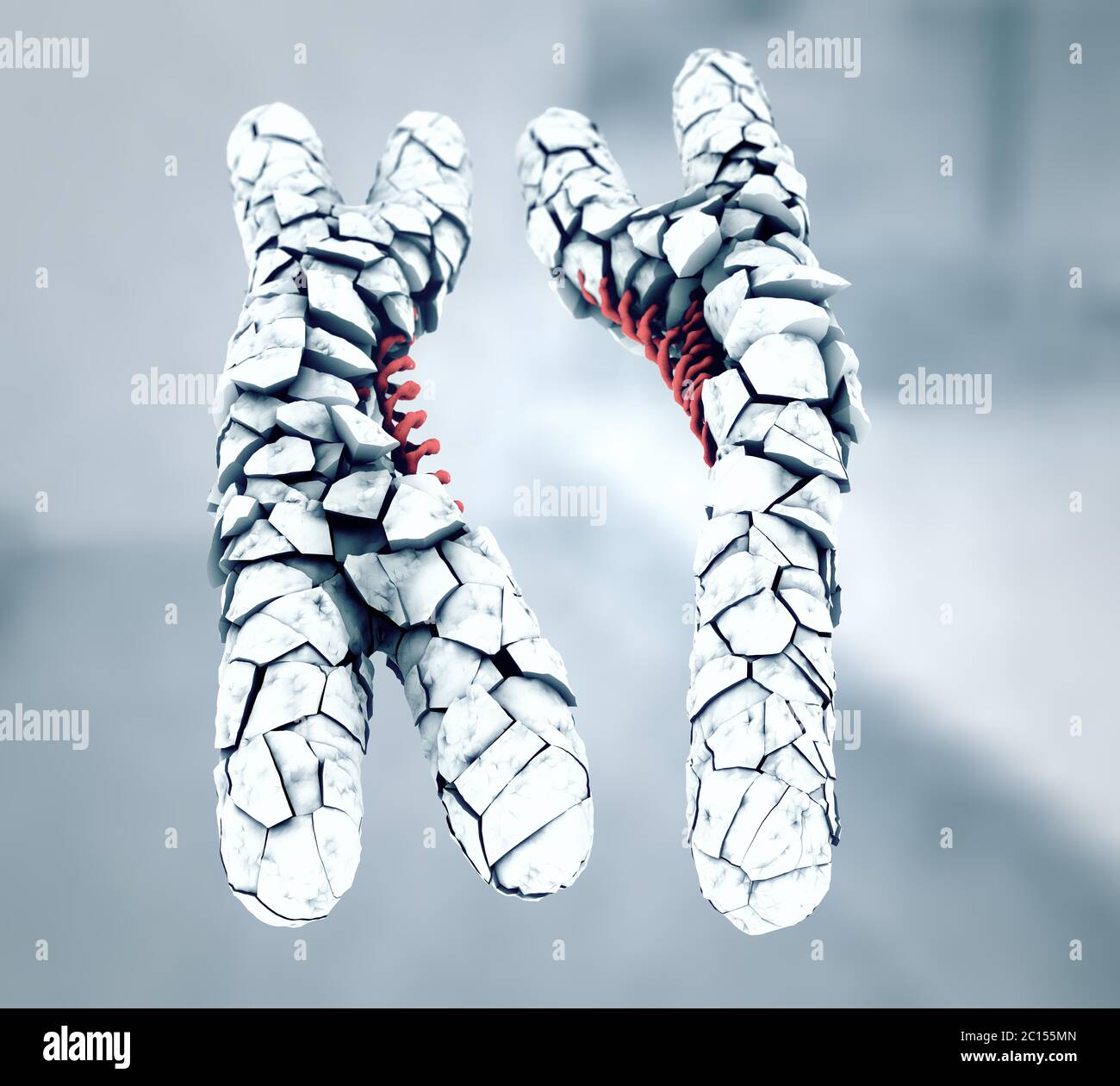 3D Illustration of broken or defected white colored x and y chromosomes Stock Photo