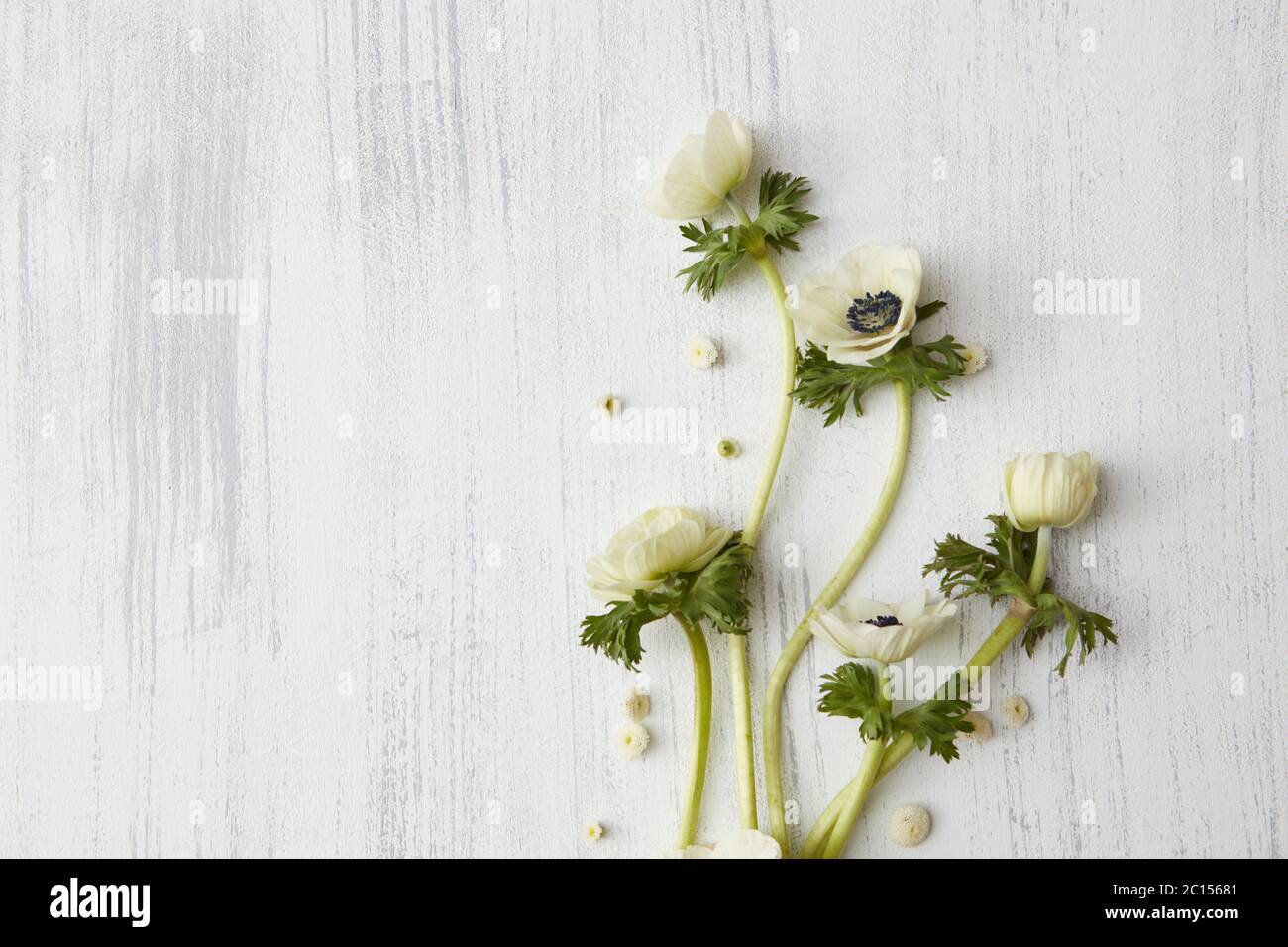 Beautiful White Flowers Stock Photo Alamy