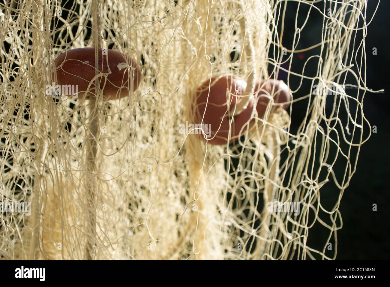 Spreading fishing net hi-res stock photography and images - Page 2 - Alamy