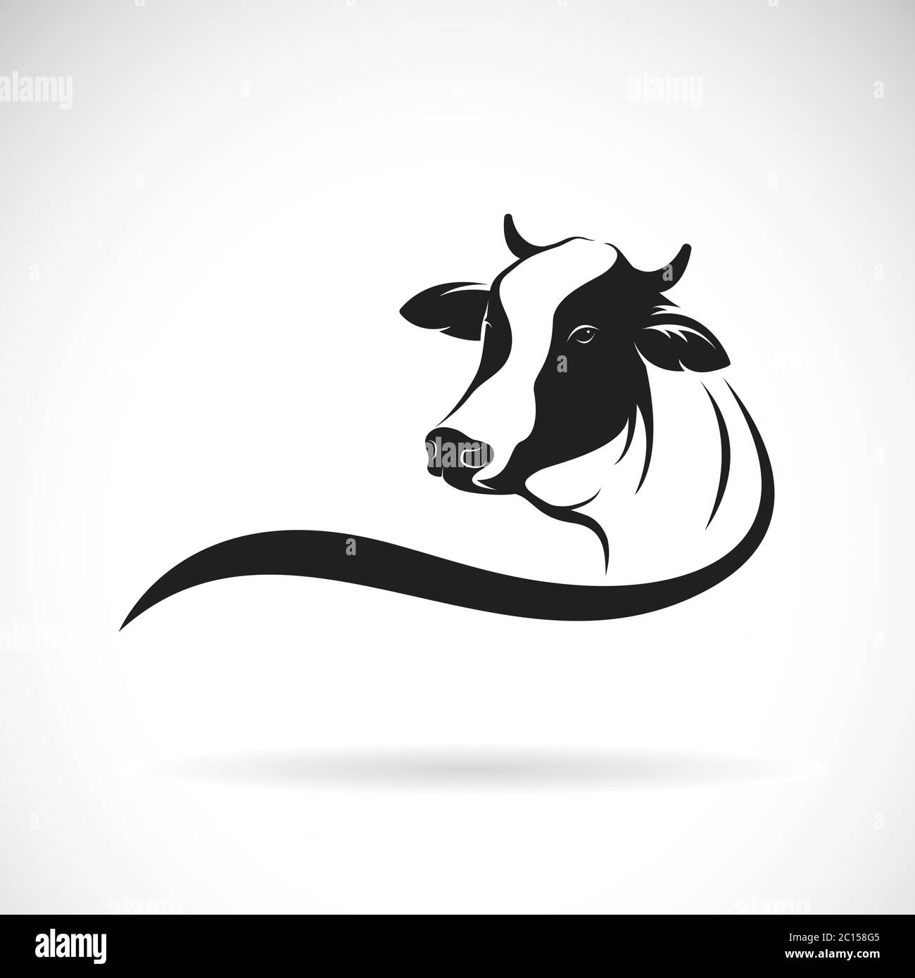 Vector of a cow head design on white background. Farm Animal. Easy editable  layered vector illustration Stock Vector Image & Art - Alamy