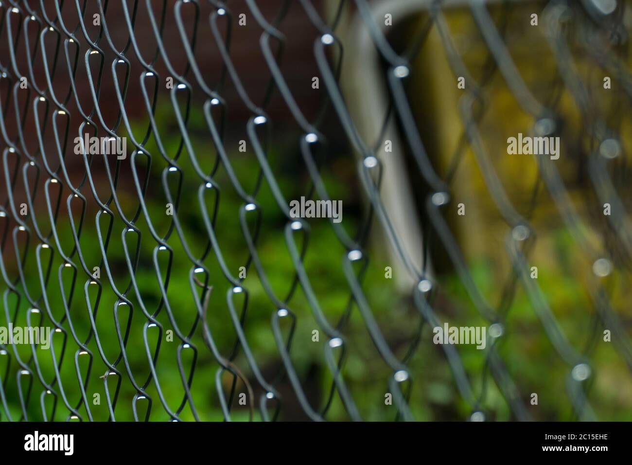 Grid fence slave after summer rain new Stock Photo