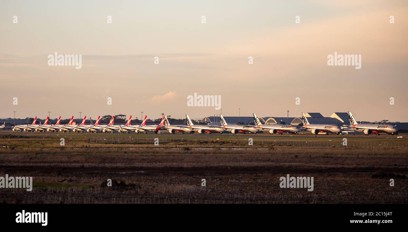 Jetstar and Qantas aircraft parked at Avalon Airport after being grounded during the COVID-19 (Coronavirus) outbrea Stock Photo