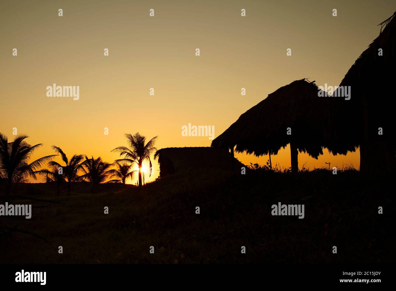 Silhouette of palms and thatched roof beach palapas during sunset. El Paredón, Guatemala Stock Photo
