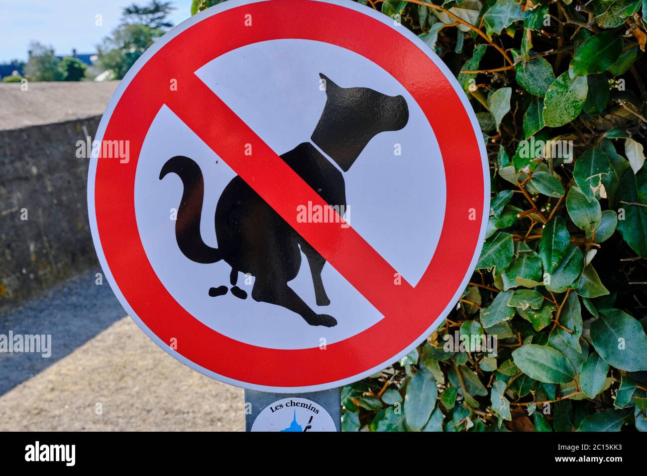 France, Normandy, Manche department, Cotentin, Barfleur, labeled Les Plus Beaux Villages de France, defeasing prohibition sign for a dog Stock Photo