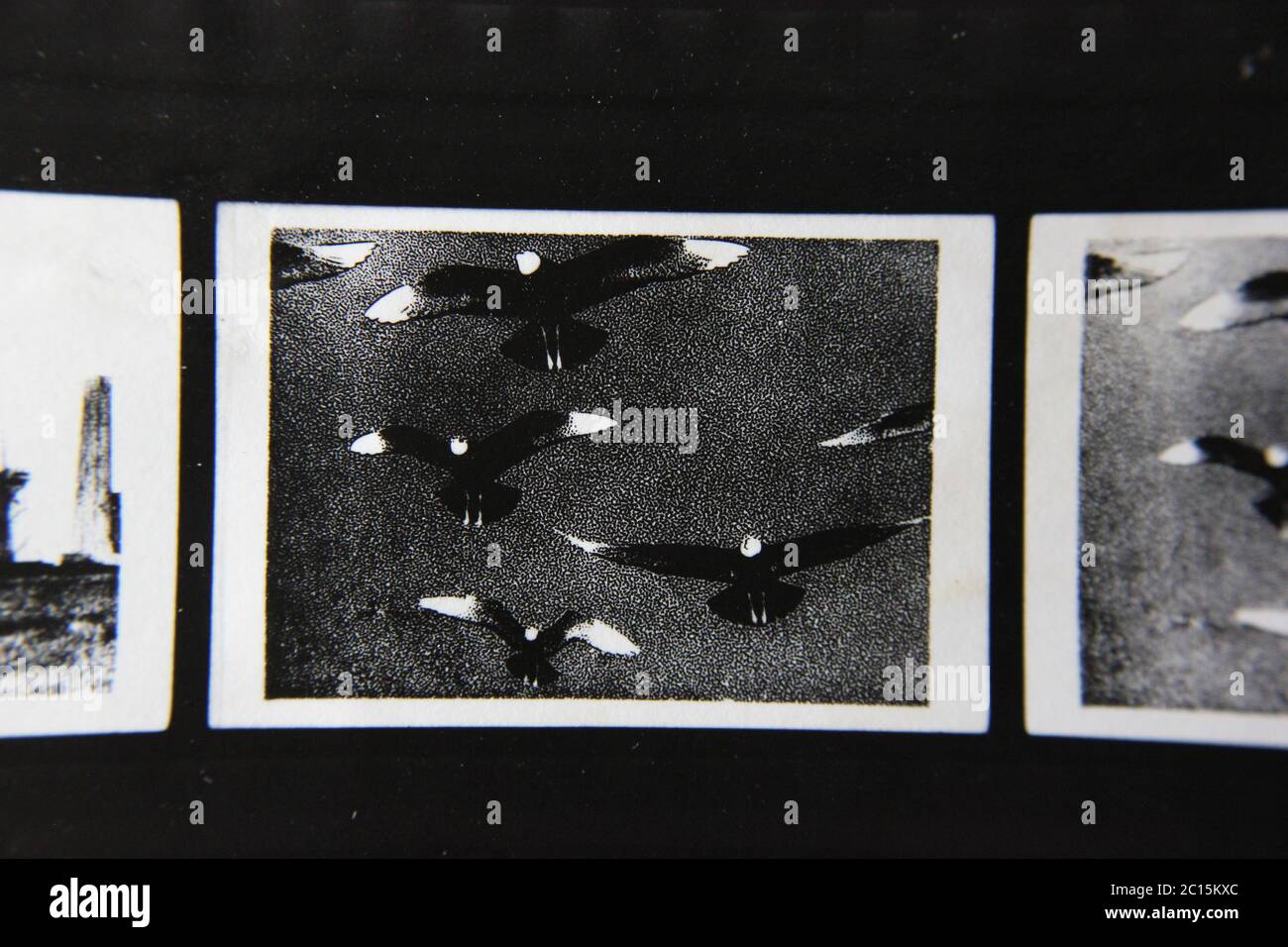 Fine 1970s vintage black and white photography of a dream like state ...