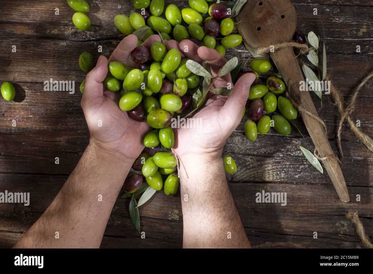 Large green olives Stock Photo