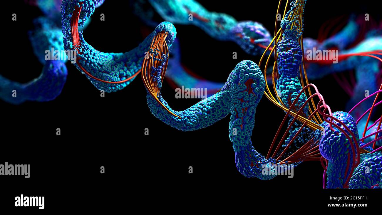 Chain of amino acid or bio molecules called protein 3d illustration