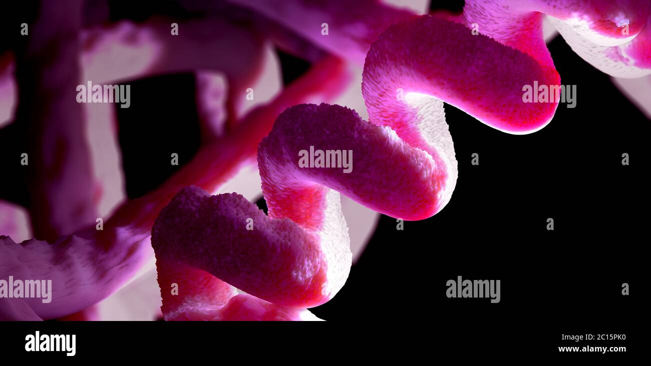 Chain of amino acid or bio molecules called protein 3d illustration