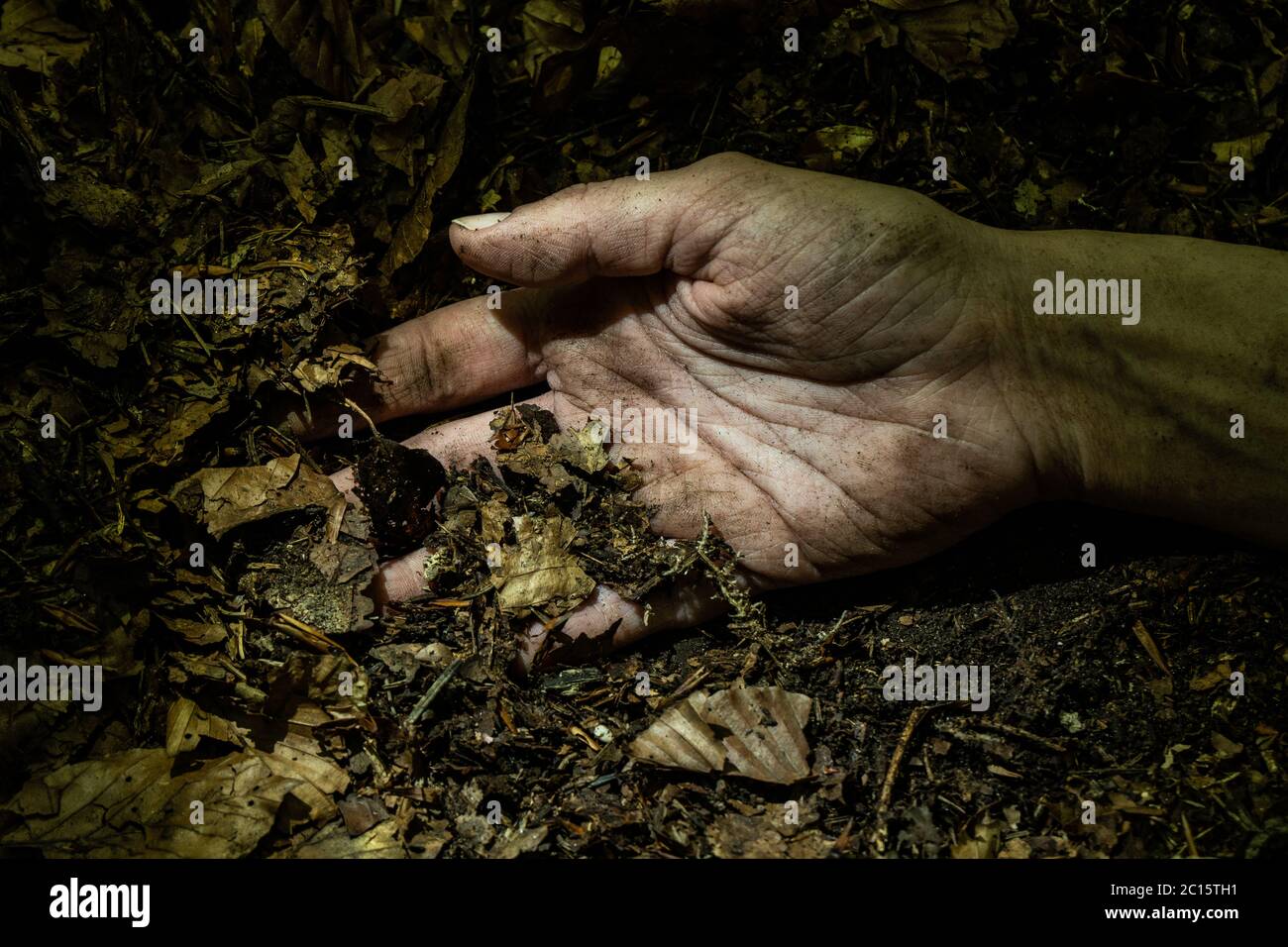 Dirty woman hand on forest floor lightened by flashlight. Kidnapping and crime concept. Stock Photo