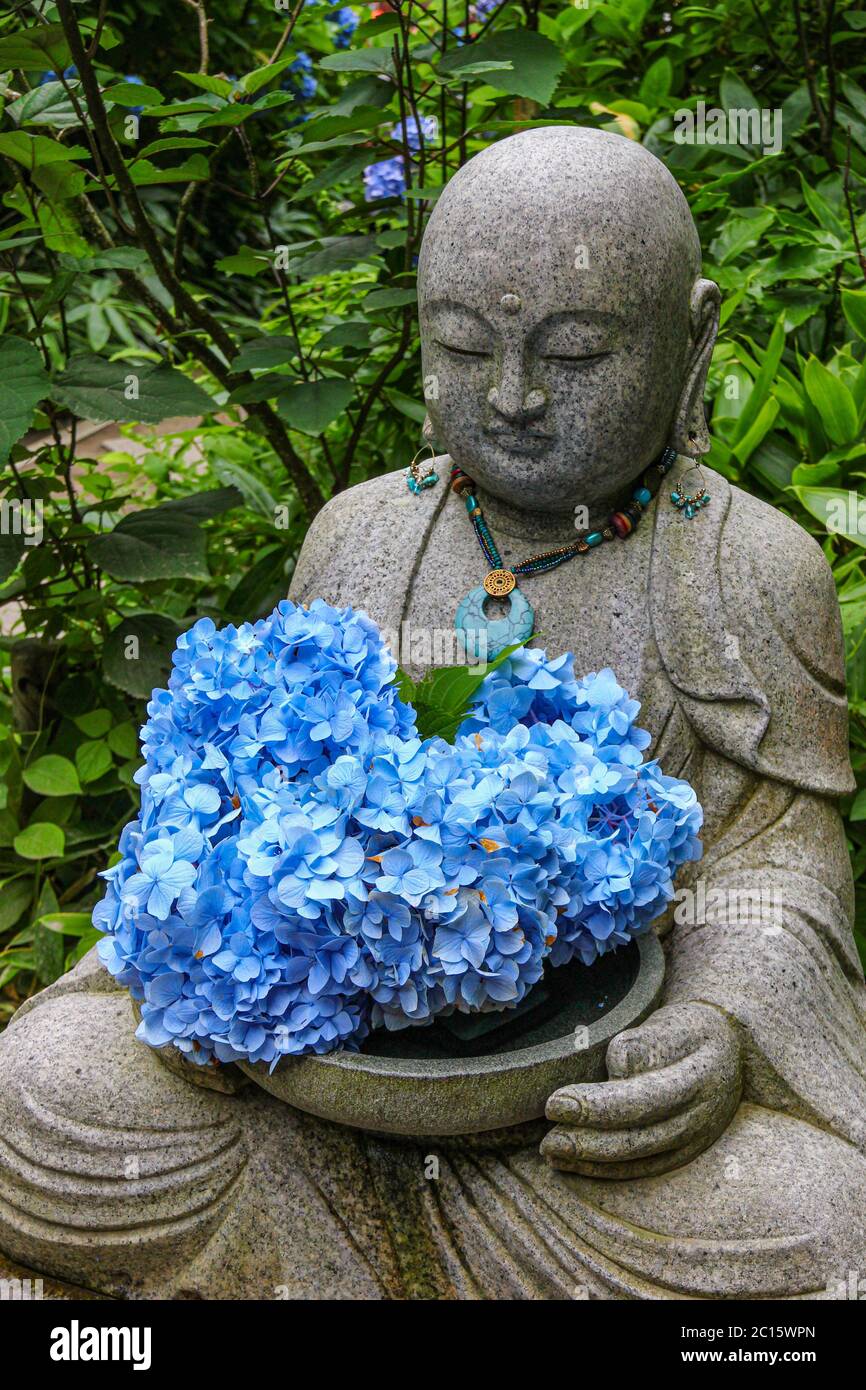 A buddha statue at a temple, holding fresh hydrangea flowers. Stock Photo