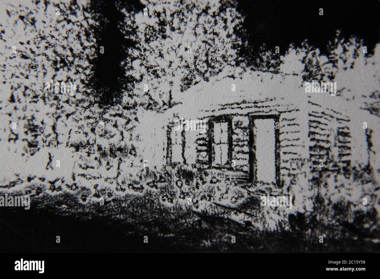 Fine 70s vintage black and white extreme photography of a rustic cabin ...
