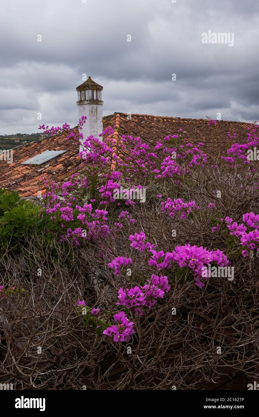 Óbidos, Portugal - famous tourist destination for its distinguished architecture and history - Bright Coloured Traditional Houses with Flowers Stock Photo