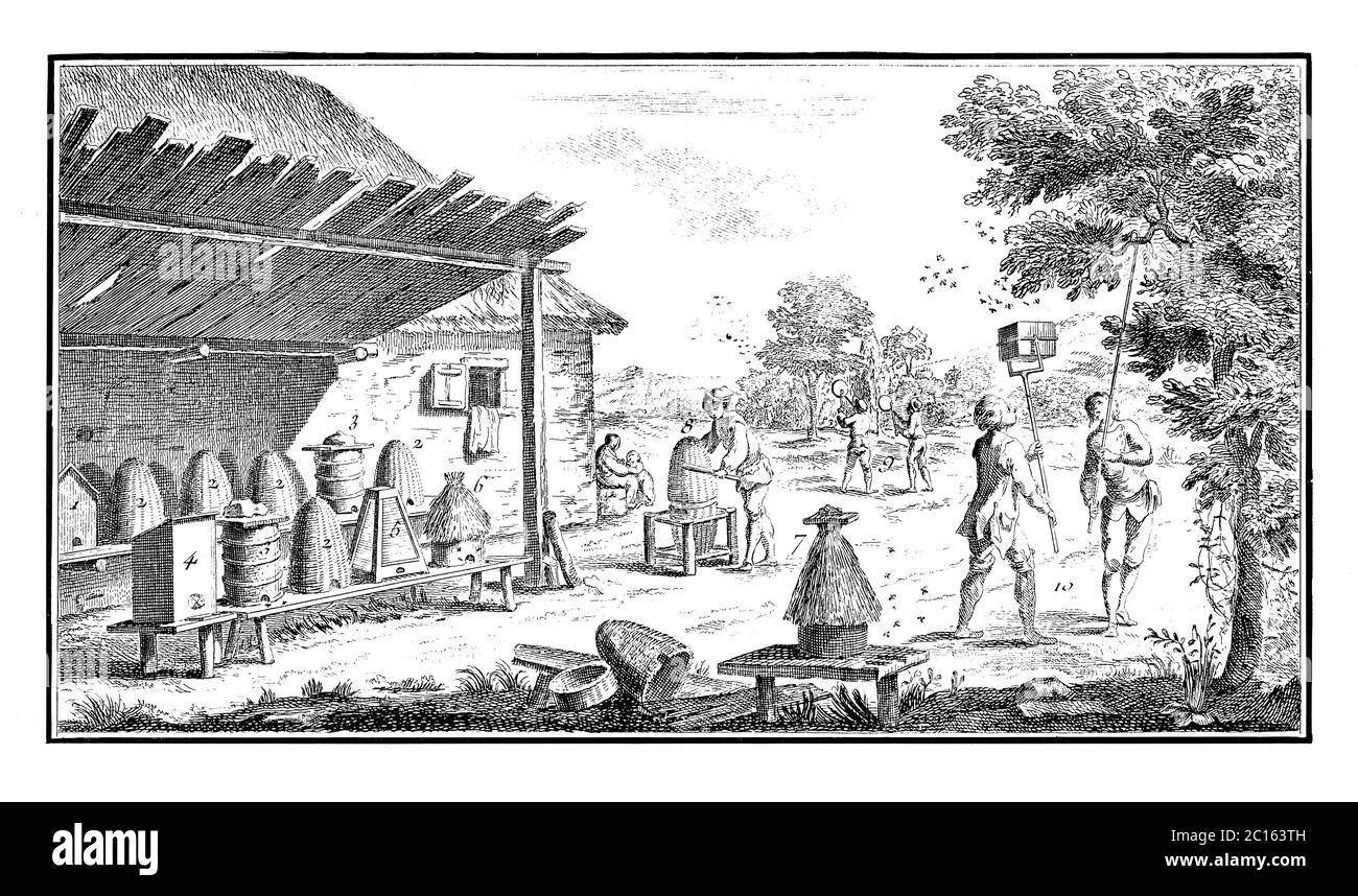 18th century illustration of different sorts of hives. Published in 'A Diderot Pictorial Encyclopedia of Trades and Industry. Manufacturing and the Te Stock Photo