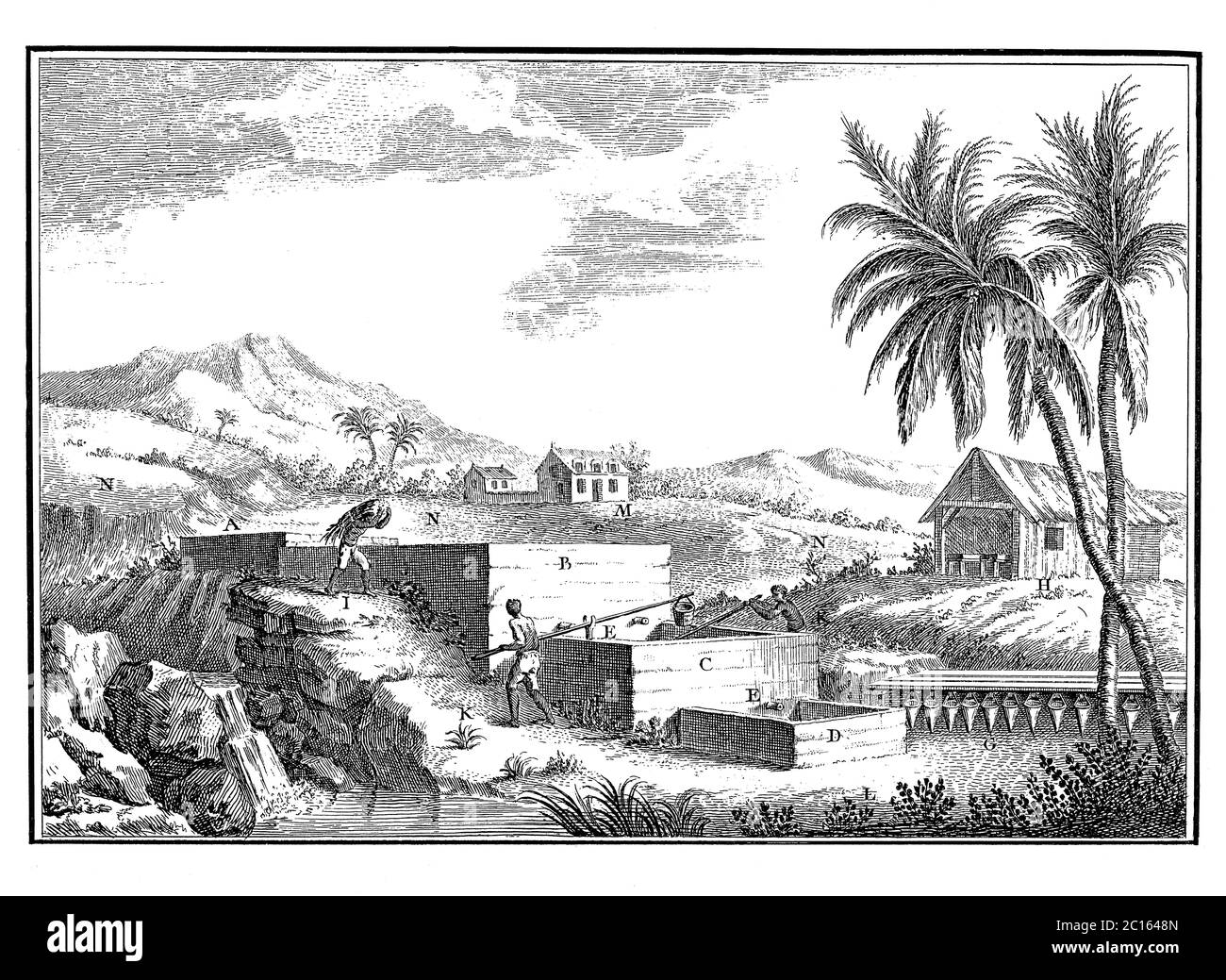 18th century illustration of an indigo plantation in West Indies. Published in 'A Diderot Pictorial Encyclopedia of Trades and Industry. Manufacturing Stock Photo
