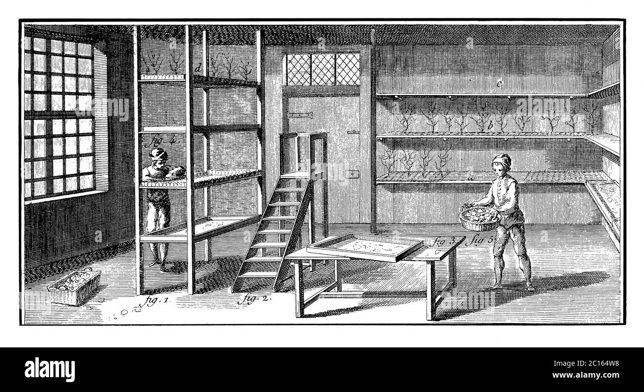 18th century illustration of room for silkworms growing. Published in 'A Diderot Pictorial Encyclopedia of Trades and Industry. Manufacturing and the Stock Photo