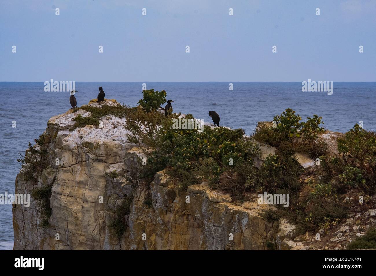 Page 34 - Carvoeiro Portugal High Resolution Stock Photography and Images -  Alamy