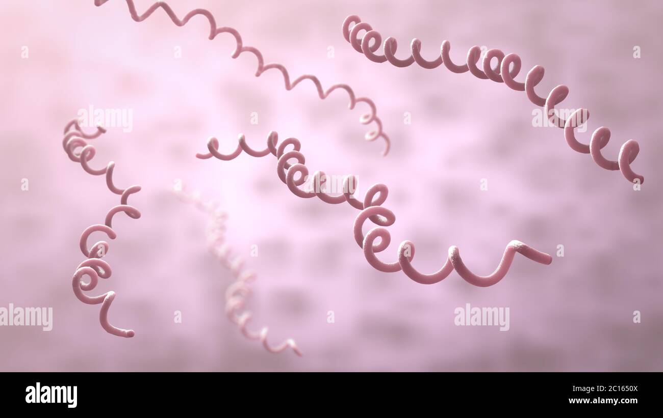 3d illustration of red colored lyme disease pathogens on red underground Stock Photo
