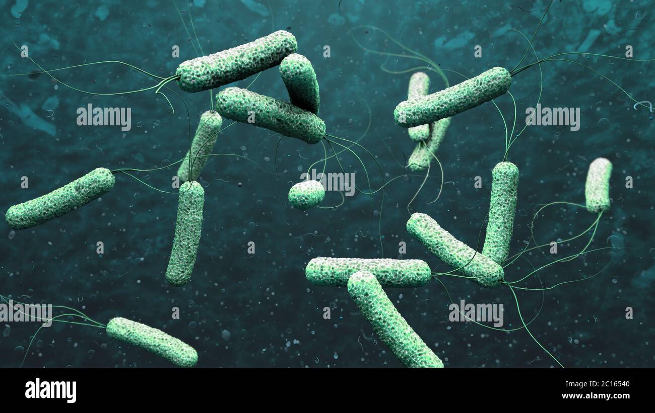 3d illustration of cholera pathogens in dark green water Stock Photo