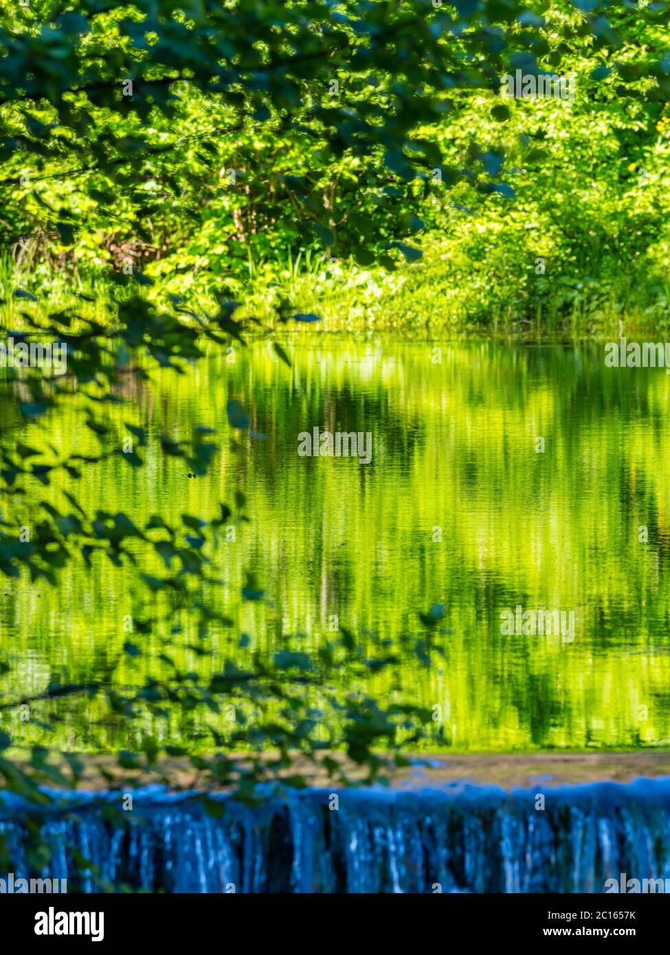 Lake with waterfall and derelict old sawmill and watermill Cogrljevo jezero Croatia Europe almost artistic water reflections of Green Spring forest Stock Photo
