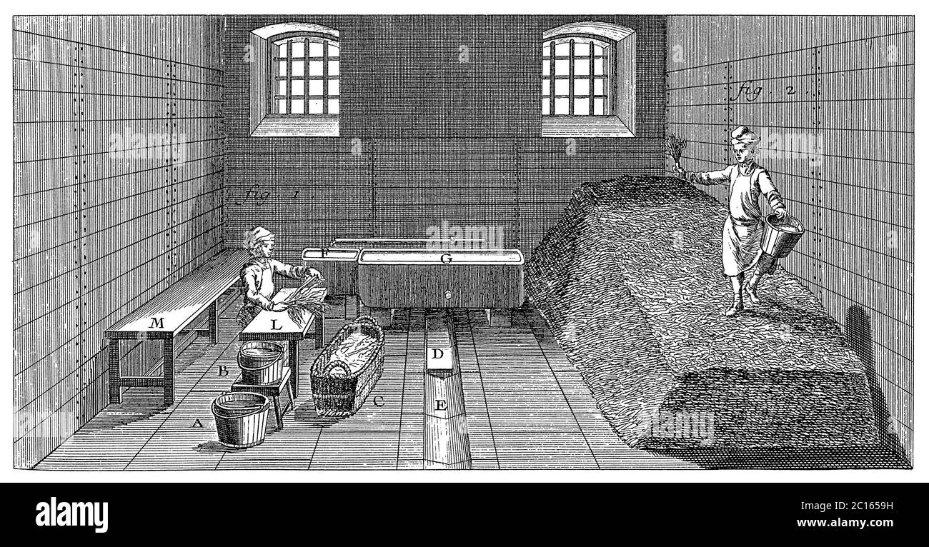18th century illustration of a tobacco curing and fermentation. Published in A Diderot Pictorial Encyclopedia of Trades and Industry Stock Photo