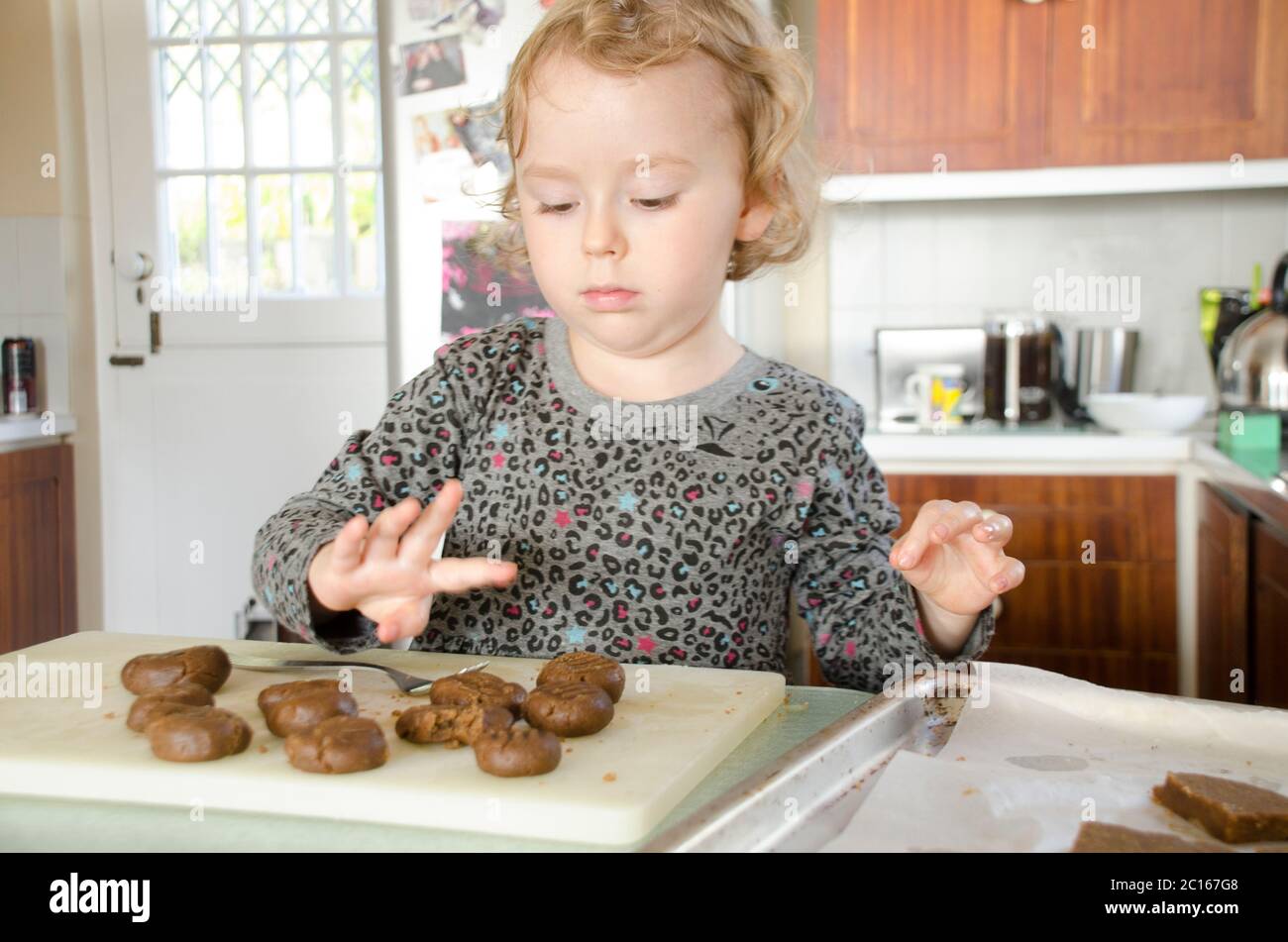 young child, in a kitchen, counting on her fingers, while preparing ginger biscuits for baking. Stock Photo