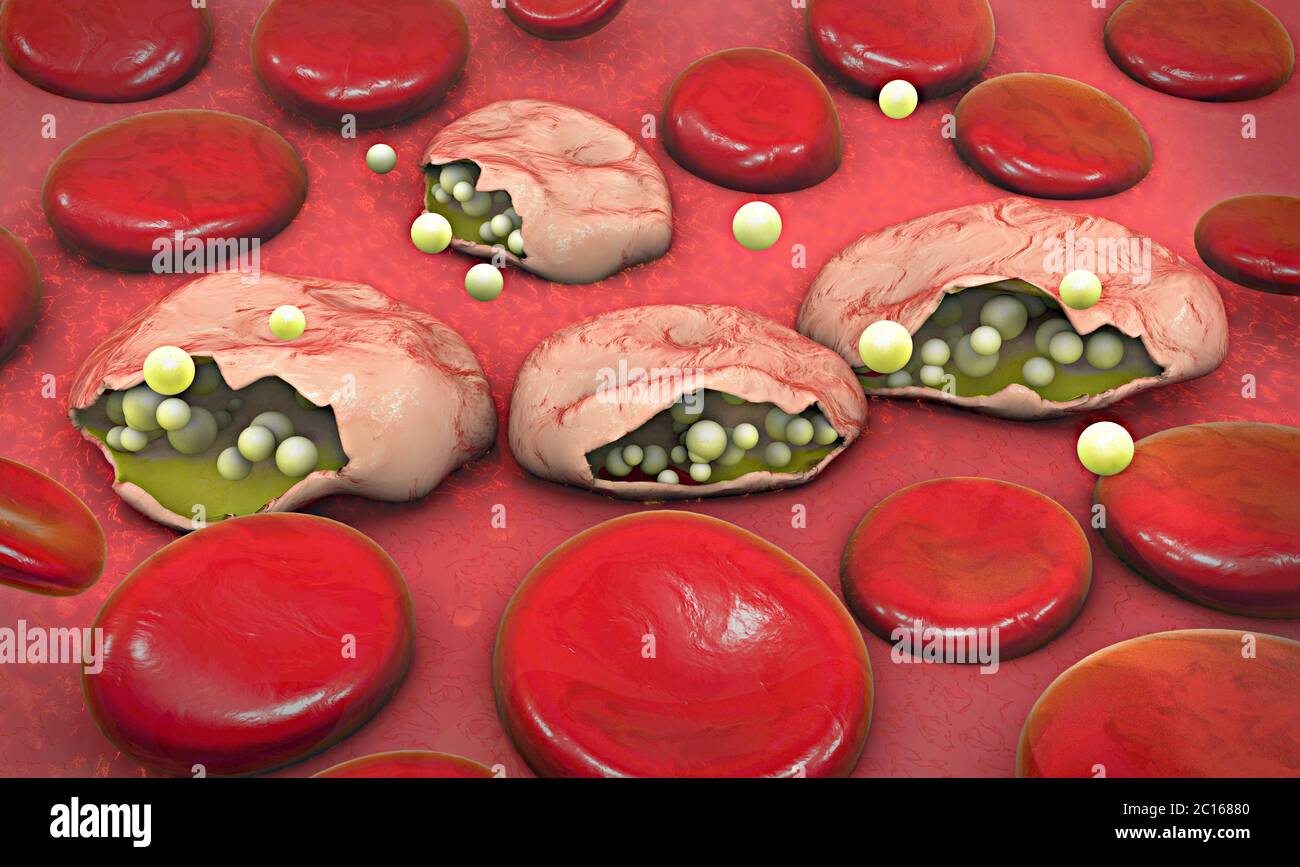 3d illustration of blood cells, plasmodium causing malaria illness Stock Photo