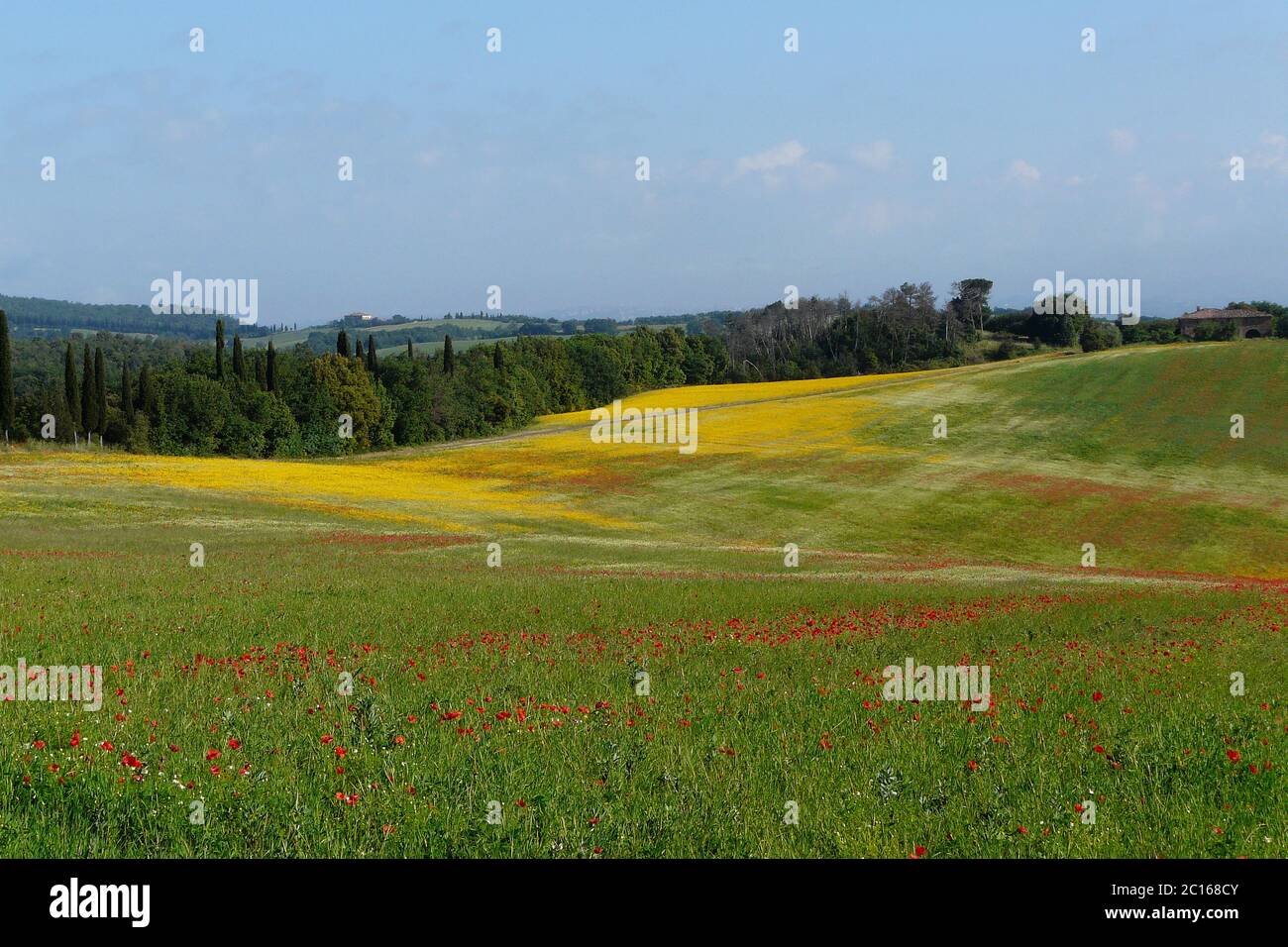 Scenic Tuscany Landscape in Spring time Stock Photo