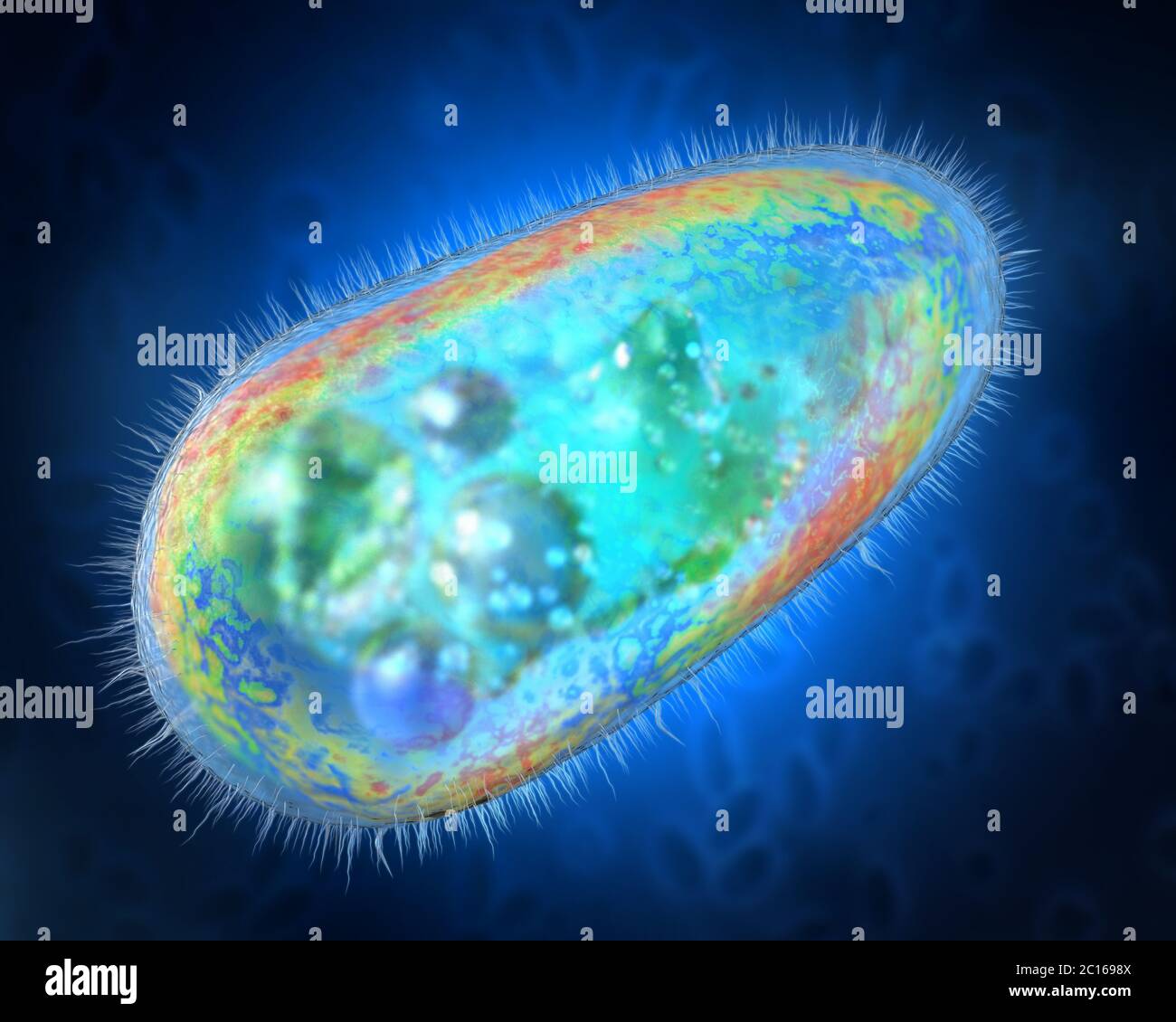 3D illustration of transparent and colorful protozoa or unicellular organism Stock Photo