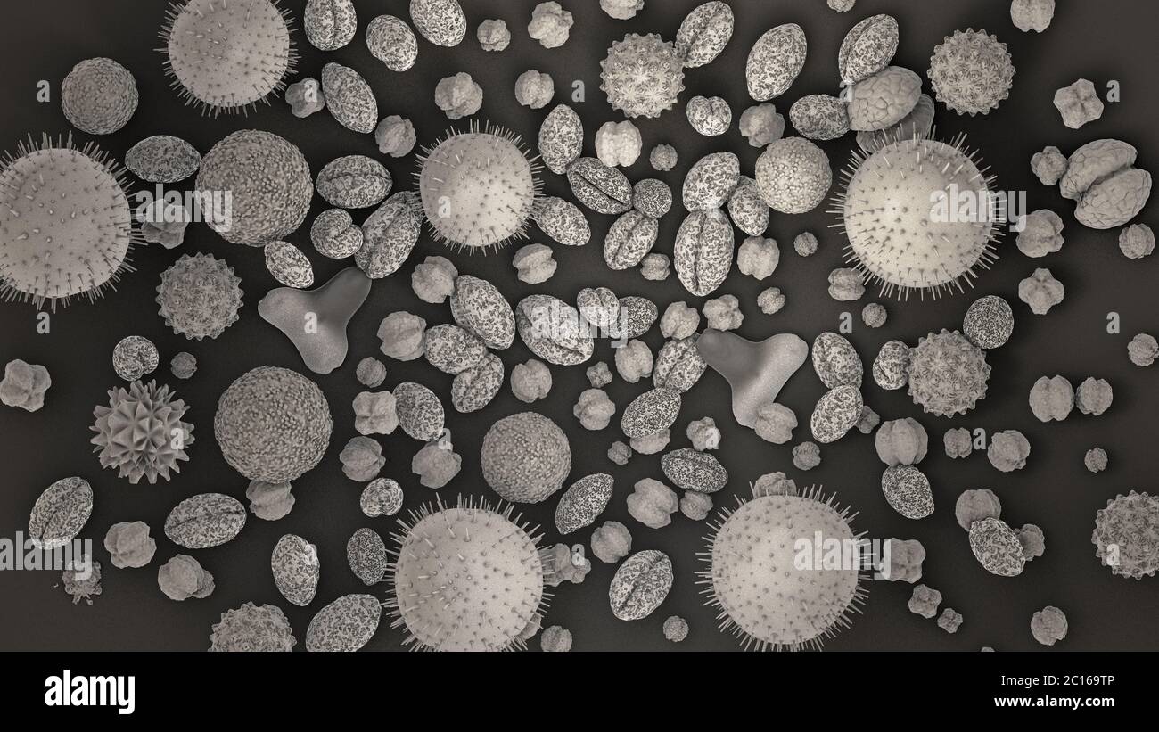 3d illustration of different kinds of pollen Stock Photo