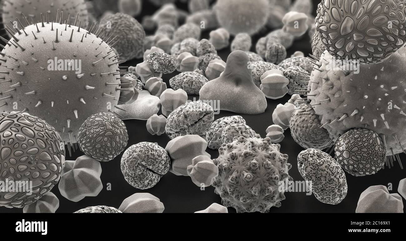 3d illustration of many different pollen bodies in black and white Stock Photo