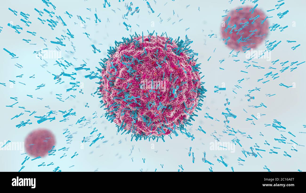 Red cell antibodies hires stock photography and images Alamy