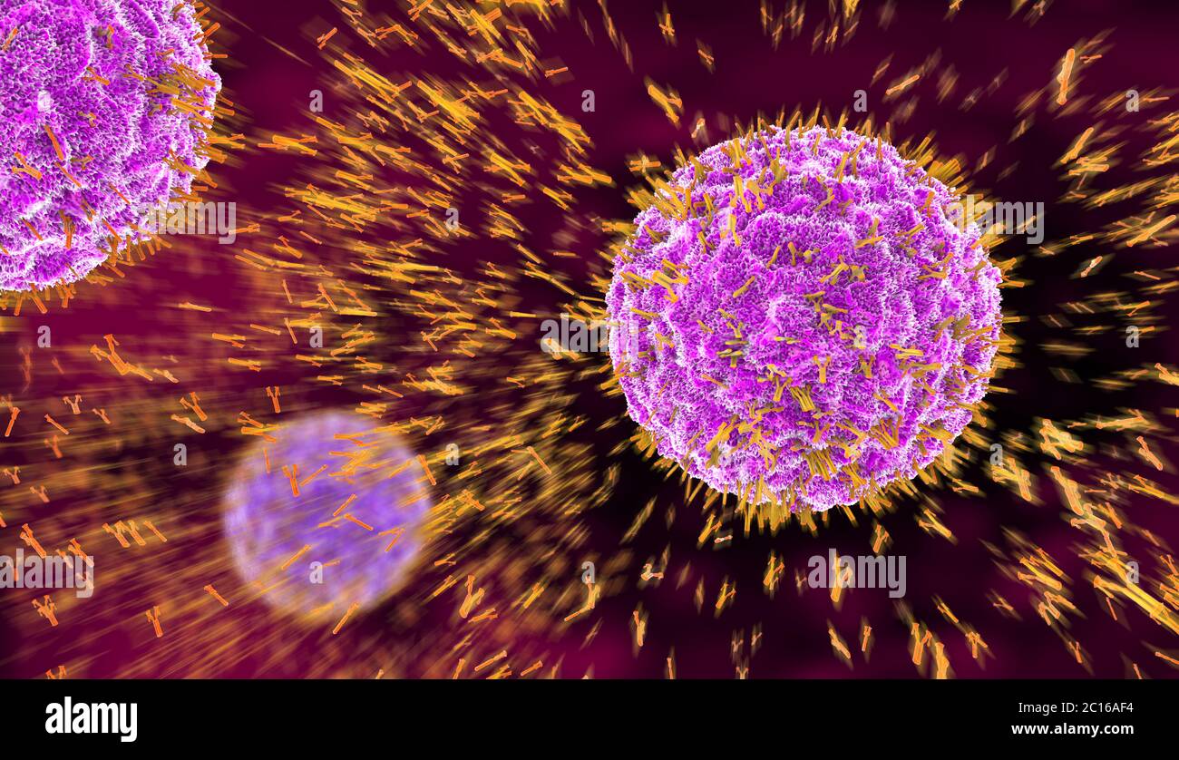 Red cell antibodies hi-res stock photography and images - Alamy