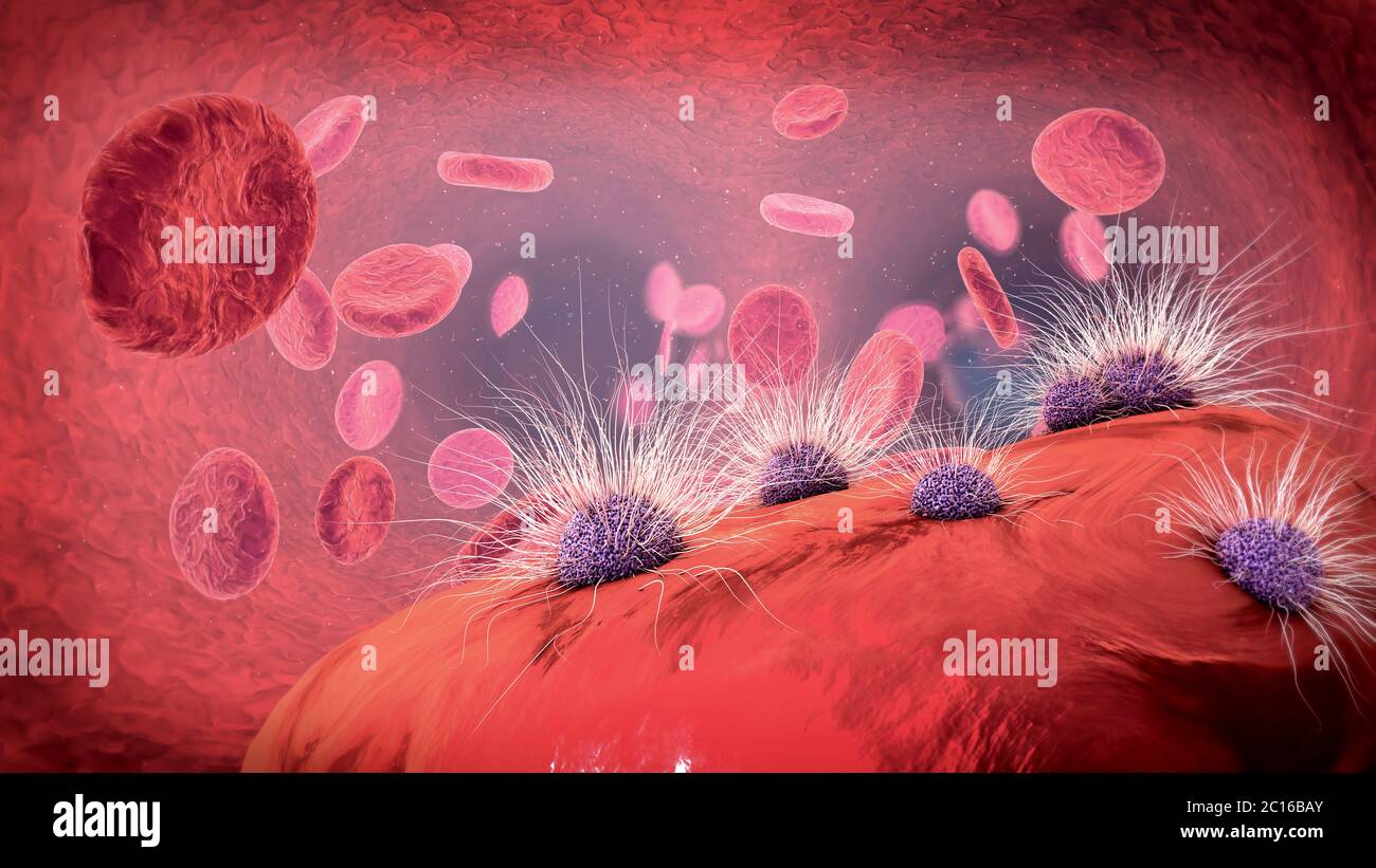 3d illustration of pathogens infesting red blood cell Stock Photo