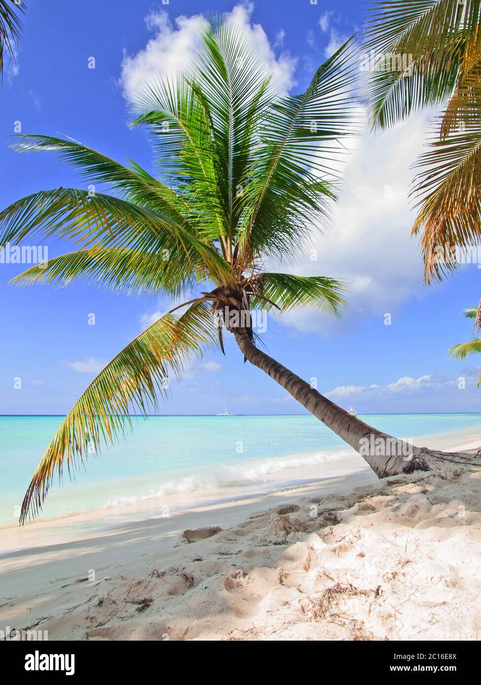 tropical beach in Dominican republic. Stock Photo